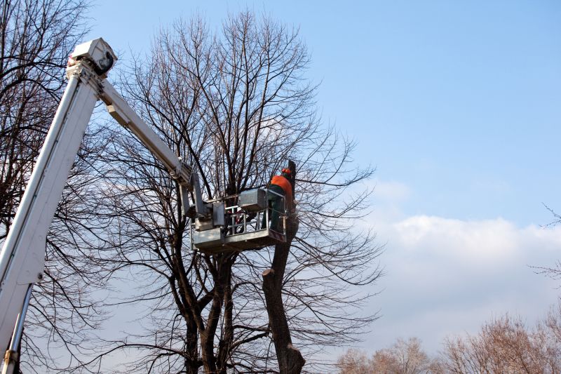 Tree Lopping Service in Pottstown, PA