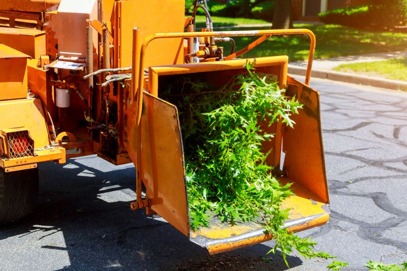 Tree Trimming Service